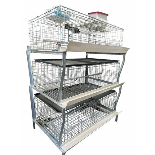 Broiler Cages