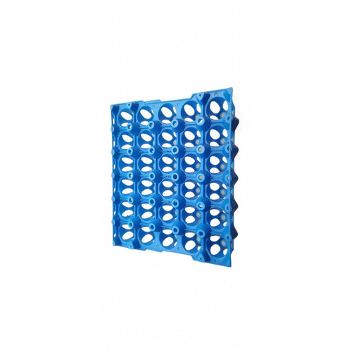 Local Plastic Egg Trays