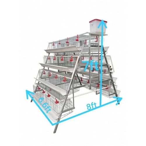 A-Shape Layer Cage – 128 Birds Capacity
