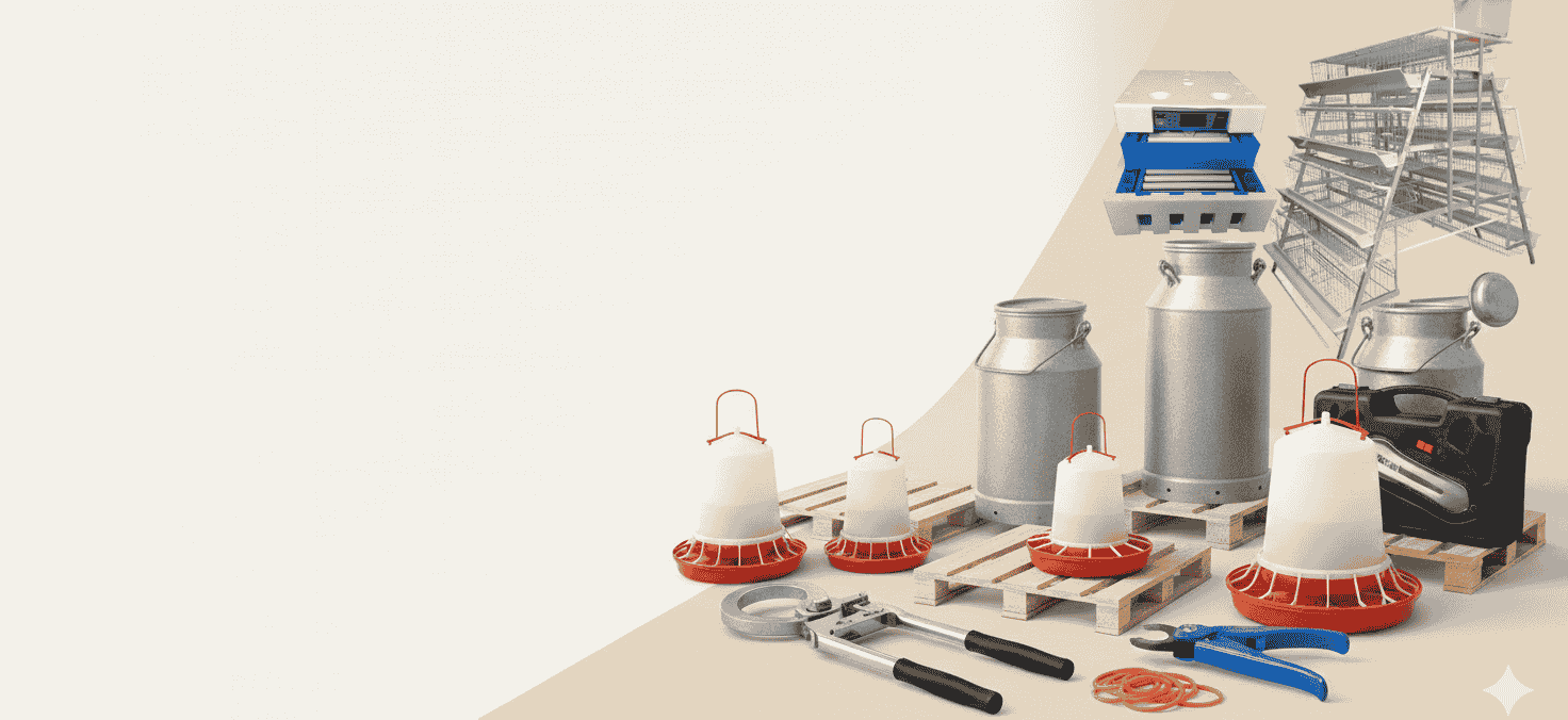 home main banner 2