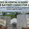 Poultry Cages in Kenya: A Guide to A-Type vs H-Type Battery Cages for Layers (2026 Update)